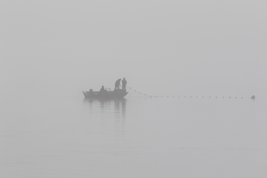 Drifting For Salmon In The Fog