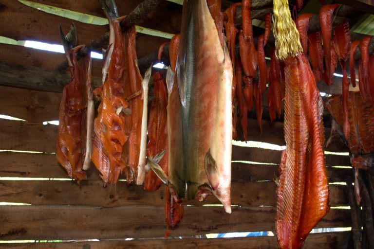 Fresh Smoked Salmon – When Kings Are In Short Supply, You’ve Got To Rely On Other Species