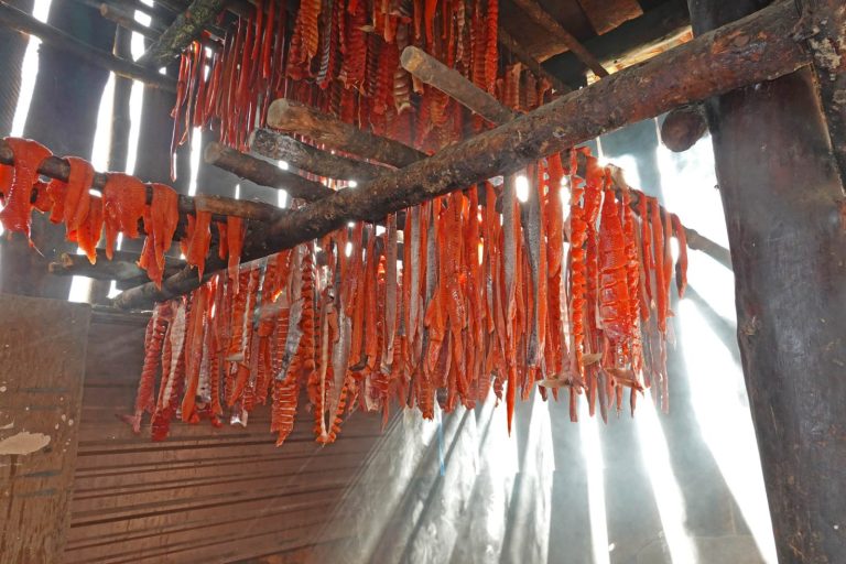 Red Gold In Chuathbaluk