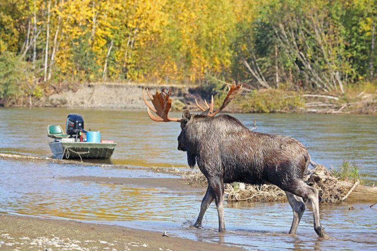 Checkin’ Out My Ride