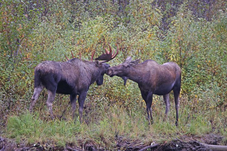 Hope I’m Not Interrupting Anything Important